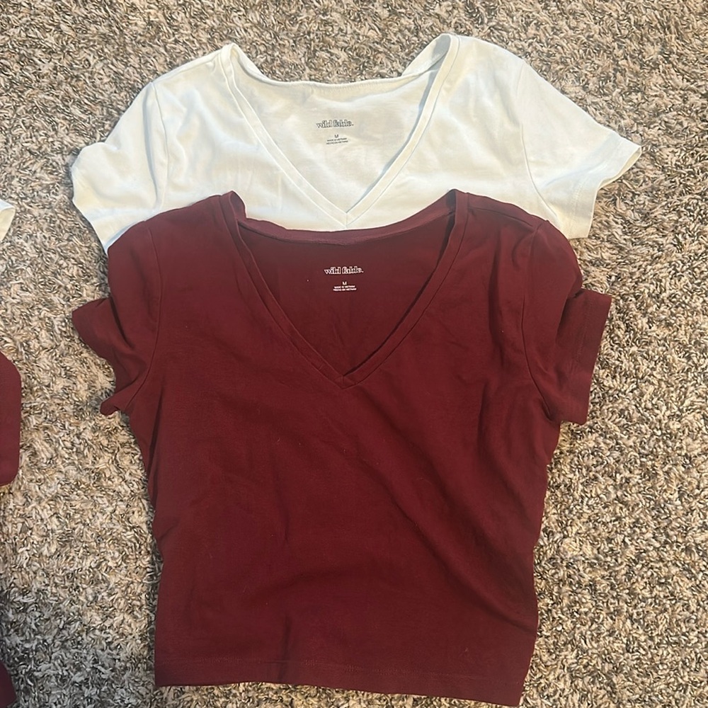 Wild fable cropped t shirt bundle